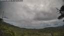 ./images/calvert/fitz-hugh-hecate/20250705/fitz-hugh-hecate20250705_085010M.jpg