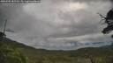 ./images/calvert/fitz-hugh-hecate/20250705/fitz-hugh-hecate20250705_085509M.jpg