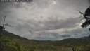 ./images/calvert/fitz-hugh-hecate/20250705/fitz-hugh-hecate20250705_090010M.jpg