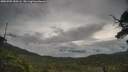 ./images/calvert/fitz-hugh-hecate/20250705/fitz-hugh-hecate20250705_090506M.jpg