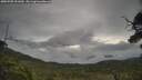 ./images/calvert/fitz-hugh-hecate/20250705/fitz-hugh-hecate20250705_091010M.jpg