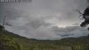 ./images/calvert/fitz-hugh-hecate/20250705/fitz-hugh-hecate20250705_091510M.jpg