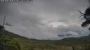 ./images/calvert/fitz-hugh-hecate/20250705/fitz-hugh-hecate20250705_092006M.jpg