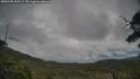 ./images/calvert/fitz-hugh-hecate/20250705/fitz-hugh-hecate20250705_092509M.jpg
