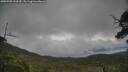 ./images/calvert/fitz-hugh-hecate/20250705/fitz-hugh-hecate20250705_093510M.jpg
