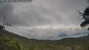 ./images/calvert/fitz-hugh-hecate/20250705/fitz-hugh-hecate20250705_094007M.jpg