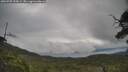 ./images/calvert/fitz-hugh-hecate/20250705/fitz-hugh-hecate20250705_095009M.jpg