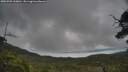 ./images/calvert/fitz-hugh-hecate/20250705/fitz-hugh-hecate20250705_100011M.jpg