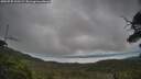 ./images/calvert/fitz-hugh-hecate/20250705/fitz-hugh-hecate20250705_100509M.jpg