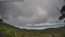 ./images/calvert/fitz-hugh-hecate/20250705/fitz-hugh-hecate20250705_101010M.jpg