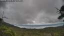 ./images/calvert/fitz-hugh-hecate/20250705/fitz-hugh-hecate20250705_101510M.jpg