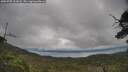 ./images/calvert/fitz-hugh-hecate/20250705/fitz-hugh-hecate20250705_102008M.jpg