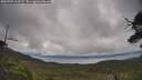 ./images/calvert/fitz-hugh-hecate/20250705/fitz-hugh-hecate20250705_102507M.jpg