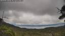 ./images/calvert/fitz-hugh-hecate/20250705/fitz-hugh-hecate20250705_103010M.jpg