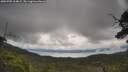 ./images/calvert/fitz-hugh-hecate/20250705/fitz-hugh-hecate20250705_104009M.jpg