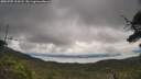 ./images/calvert/fitz-hugh-hecate/20250705/fitz-hugh-hecate20250705_104510M.jpg