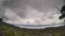 ./images/calvert/fitz-hugh-hecate/20250705/fitz-hugh-hecate20250705_105007M.jpg