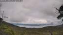 ./images/calvert/fitz-hugh-hecate/20250705/fitz-hugh-hecate20250705_111010M.jpg