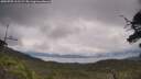 ./images/calvert/fitz-hugh-hecate/20250705/fitz-hugh-hecate20250705_111509M.jpg