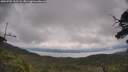 ./images/calvert/fitz-hugh-hecate/20250705/fitz-hugh-hecate20250705_112508M.jpg