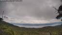 ./images/calvert/fitz-hugh-hecate/20250705/fitz-hugh-hecate20250705_114510M.jpg