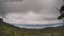 ./images/calvert/fitz-hugh-hecate/20250705/fitz-hugh-hecate20250705_115010M.jpg