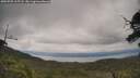 ./images/calvert/fitz-hugh-hecate/20250705/fitz-hugh-hecate20250705_115508M.jpg