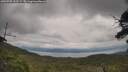 ./images/calvert/fitz-hugh-hecate/20250705/fitz-hugh-hecate20250705_122507M.jpg