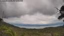 ./images/calvert/fitz-hugh-hecate/20250705/fitz-hugh-hecate20250705_124510M.jpg