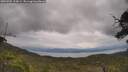 ./images/calvert/fitz-hugh-hecate/20250705/fitz-hugh-hecate20250705_125009M.jpg