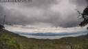 ./images/calvert/fitz-hugh-hecate/20250705/fitz-hugh-hecate20250705_133508M.jpg