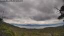 ./images/calvert/fitz-hugh-hecate/20250705/fitz-hugh-hecate20250705_134010M.jpg