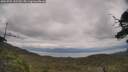 ./images/calvert/fitz-hugh-hecate/20250705/fitz-hugh-hecate20250705_135510M.jpg
