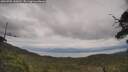 ./images/calvert/fitz-hugh-hecate/20250705/fitz-hugh-hecate20250705_140012M.jpg