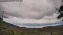 ./images/calvert/fitz-hugh-hecate/20250705/fitz-hugh-hecate20250705_140510M.jpg