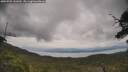 ./images/calvert/fitz-hugh-hecate/20250705/fitz-hugh-hecate20250705_141010M.jpg