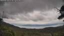 ./images/calvert/fitz-hugh-hecate/20250705/fitz-hugh-hecate20250705_141509M.jpg