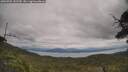 ./images/calvert/fitz-hugh-hecate/20250705/fitz-hugh-hecate20250705_142509M.jpg