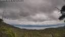 ./images/calvert/fitz-hugh-hecate/20250705/fitz-hugh-hecate20250705_143510M.jpg