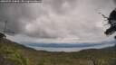 ./images/calvert/fitz-hugh-hecate/20250705/fitz-hugh-hecate20250705_144010M.jpg