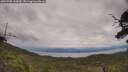 ./images/calvert/fitz-hugh-hecate/20250705/fitz-hugh-hecate20250705_144510M.jpg