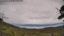 ./images/calvert/fitz-hugh-hecate/20250705/fitz-hugh-hecate20250705_145010M.jpg