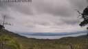 ./images/calvert/fitz-hugh-hecate/20250705/fitz-hugh-hecate20250705_145508M.jpg