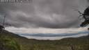 ./images/calvert/fitz-hugh-hecate/20250705/fitz-hugh-hecate20250705_151010M.jpg