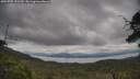 ./images/calvert/fitz-hugh-hecate/20250705/fitz-hugh-hecate20250705_151510M.jpg