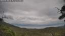 ./images/calvert/fitz-hugh-hecate/20250705/fitz-hugh-hecate20250705_153508M.jpg
