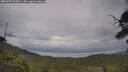 ./images/calvert/fitz-hugh-hecate/20250705/fitz-hugh-hecate20250705_154009M.jpg