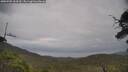 ./images/calvert/fitz-hugh-hecate/20250705/fitz-hugh-hecate20250705_154510M.jpg