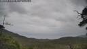 ./images/calvert/fitz-hugh-hecate/20250705/fitz-hugh-hecate20250705_155510M.jpg