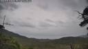 ./images/calvert/fitz-hugh-hecate/20250705/fitz-hugh-hecate20250705_160010M.jpg